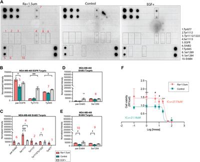 Surface roughness modulates EGFR signaling and stemness of triple-negative breast cancer cells